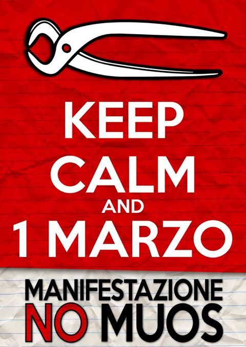 A Niscemi è già Primavera: 1 MARZO Manifestazione Nazionale NO MUOS